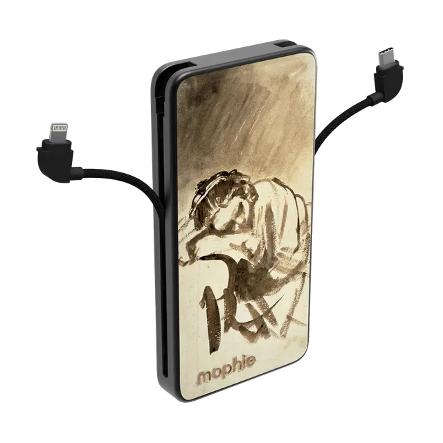 mophie-gallery-edition-powerstation-plus-10k-rembrandt-charge-3-appareils image 1