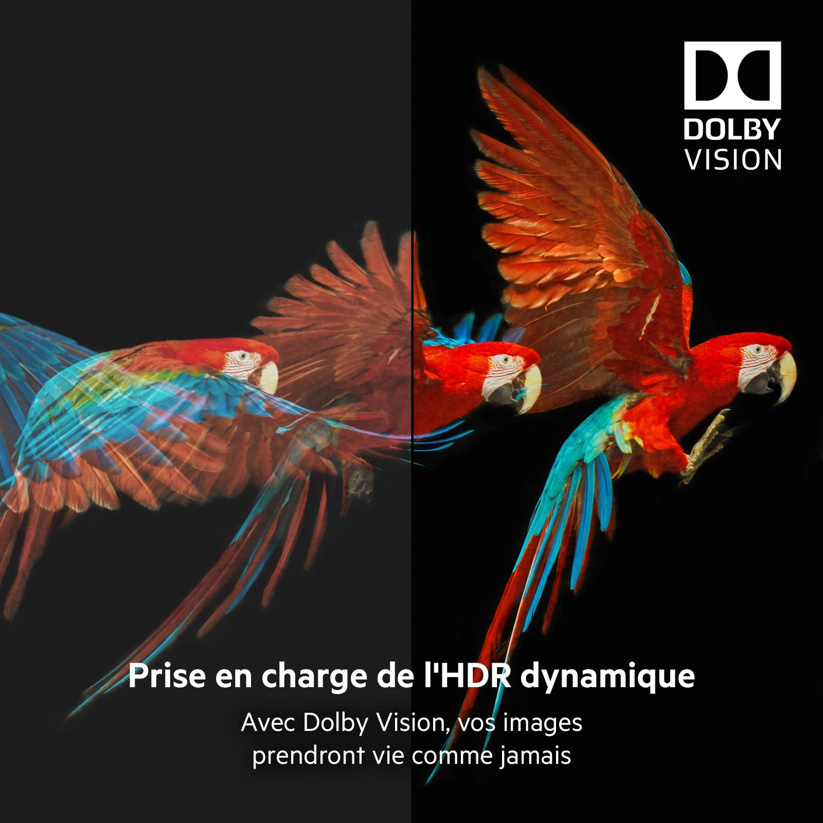 belkin-c-ble-hdmi-2-1-ultra-haute-vitesse-premium-2-m-4k-dolby-vision-hdr-48-gbi image 4
