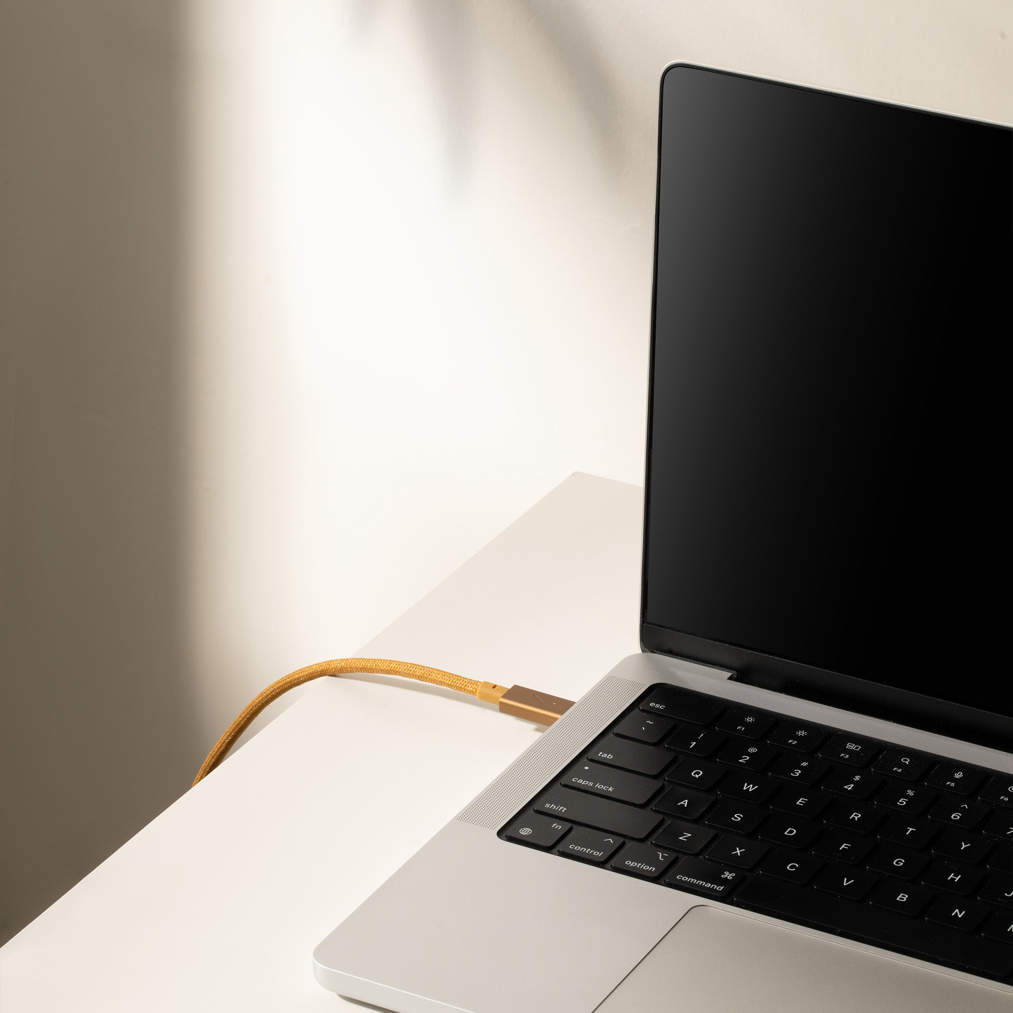 native-union-belt-cable-pro-240w-usb-c-vers-usb-c-2m image 7